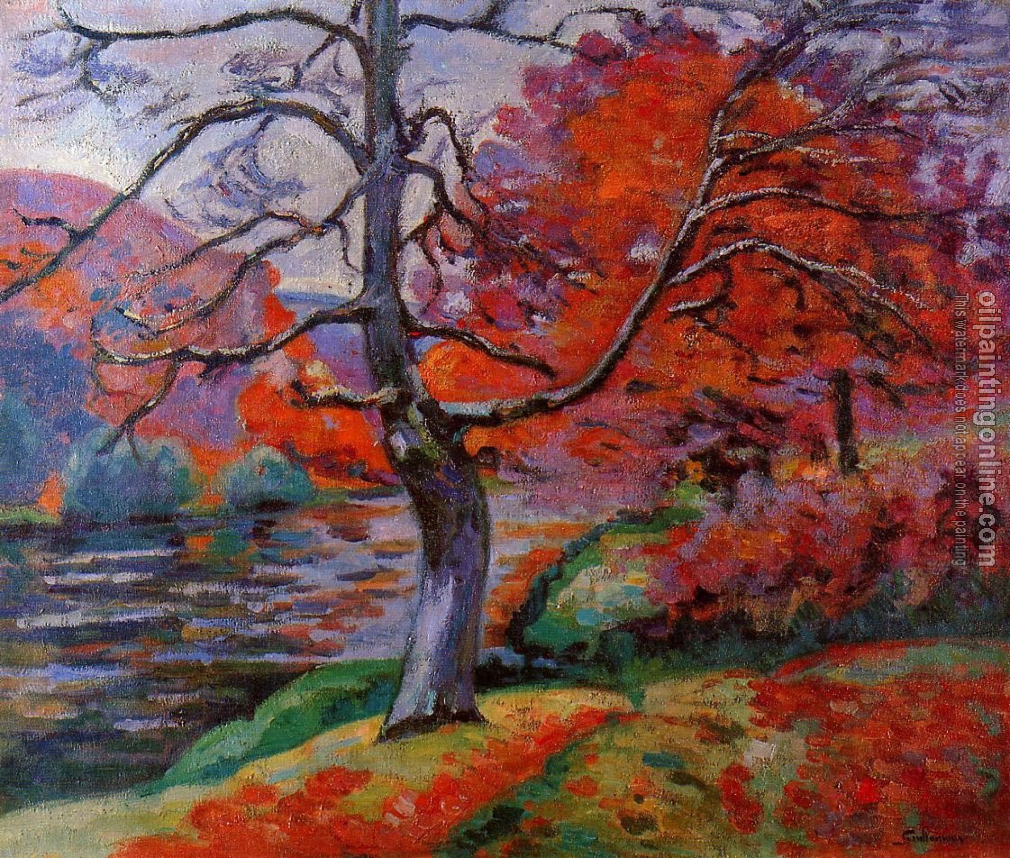 Guillaumin, Armand - Echo Rock